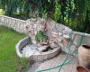 Vistabella, 6 Habitaciones Habitaciones, ,3 BathroomsBathrooms,Chalet,En Venta,1143