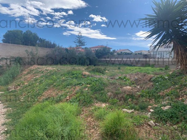 Finca,En Venta,1147