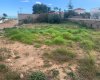 Finca,En Venta,1147